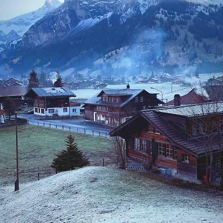 Cozy In アパート カンデルシュテッグ