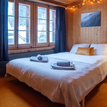 Cozy In Appartamento Kandersteg