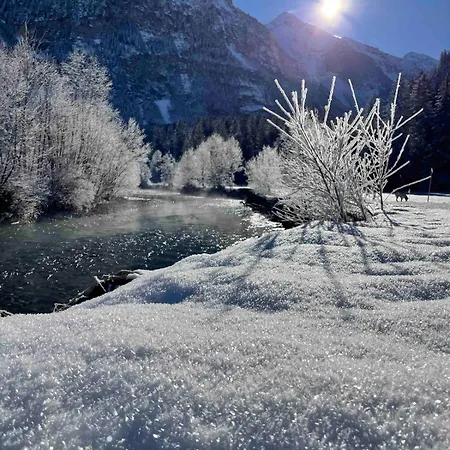 Cozy In Apartamento *