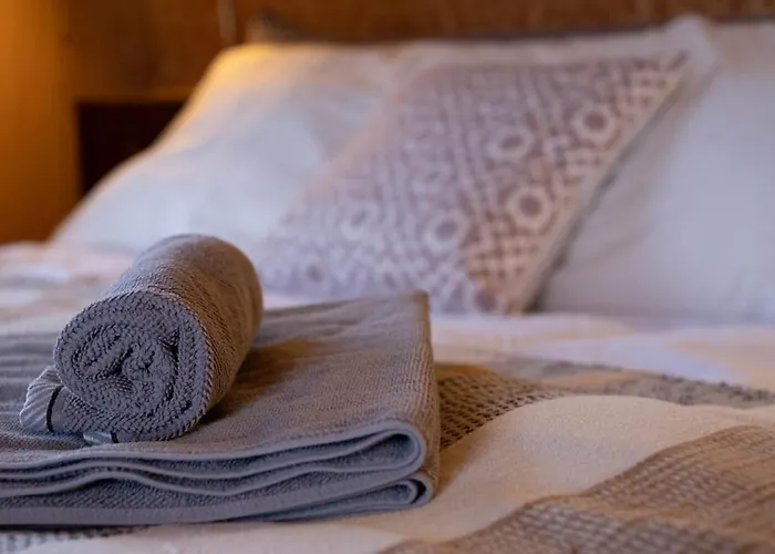 Cozy In